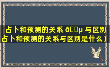 占卜和预测的关系 🐵 与区别（占卜和预测的关系与区别是什么）